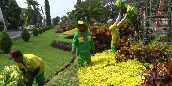Petugas dari DKP kota Malang terlihat sibuk menata bunga untuk menyambut peringatan HUT RI