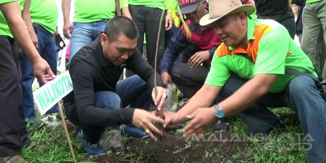 Wali Kota Malang H. Moch. Anton (baju hitam) secara simbolis menanam pohon cokelat
